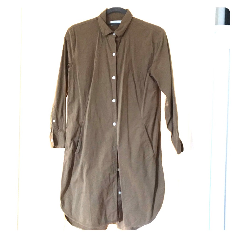 Everlane tunic shirt dress
